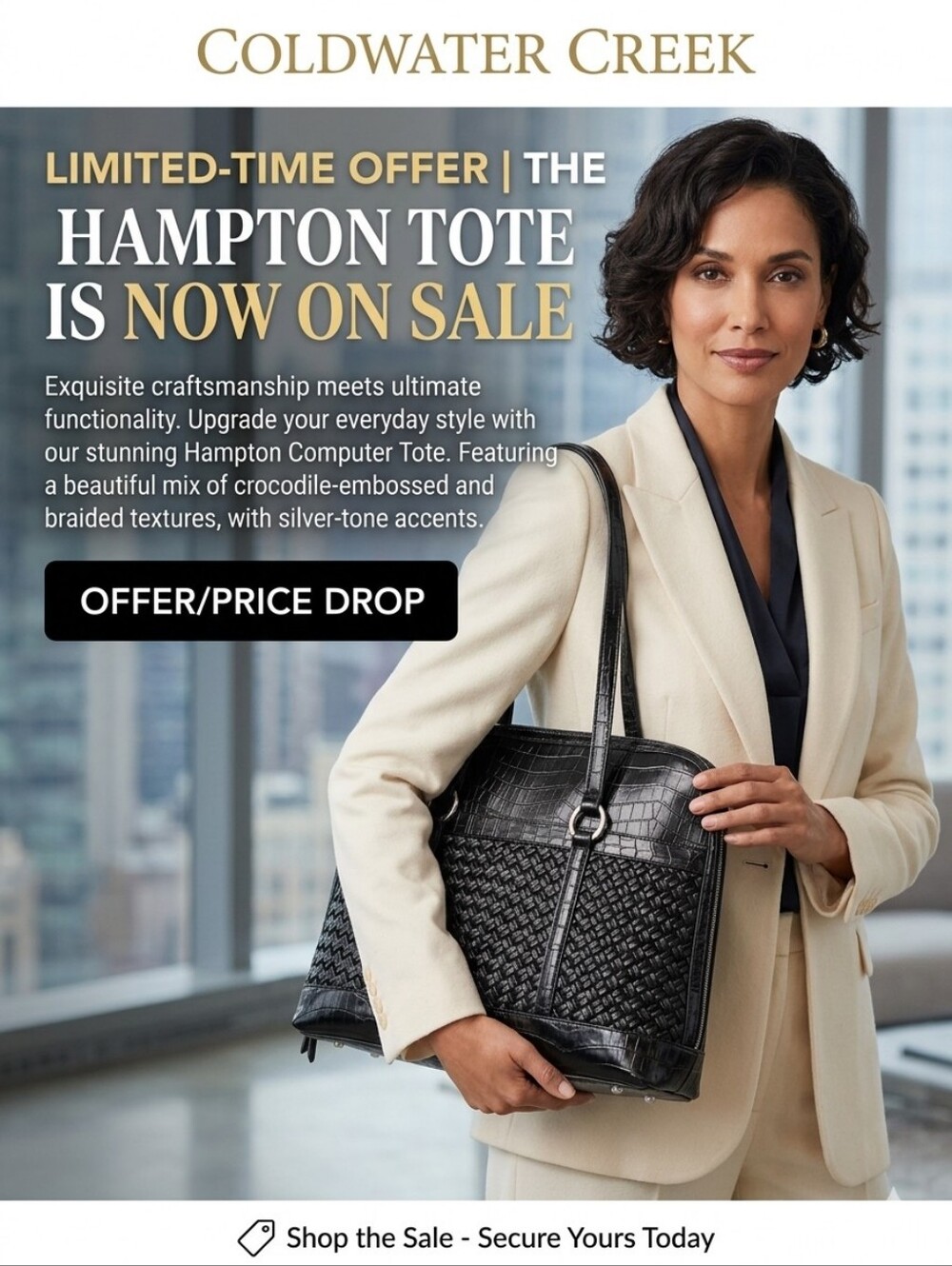 😺COLDWATER CREEK Hampton Computer Tote